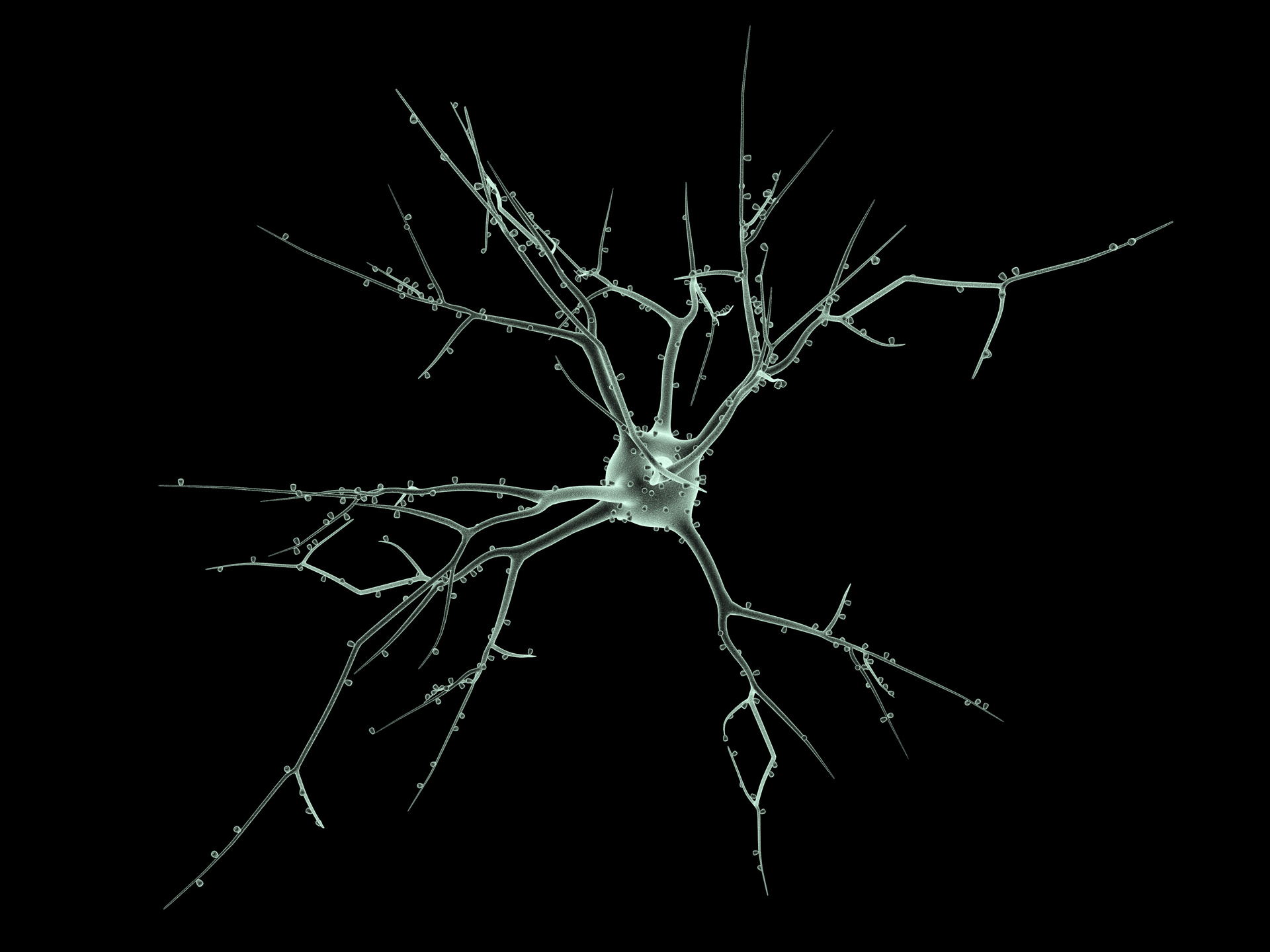 Neuron